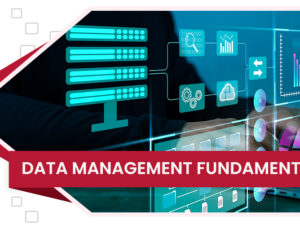 digiwise-academy-data-management-fundamentals-course-feature-image