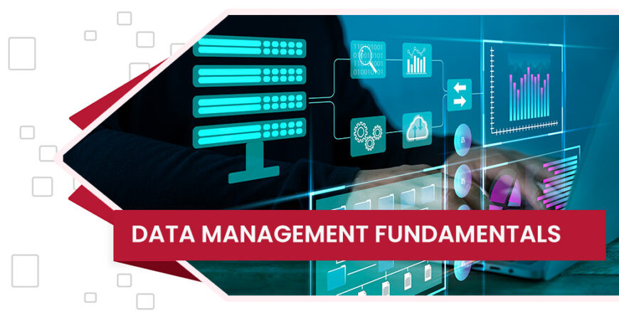 digiwise-academy-data-management-fundamentals-course-feature-image