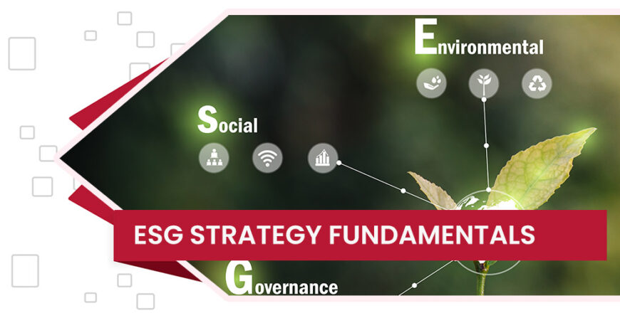 دوره ESG Strategy Fundamentals دیجی وایز آکادمی