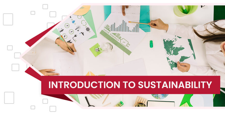 دوره Introduction to Sustainability دیجی وایز آکادمی