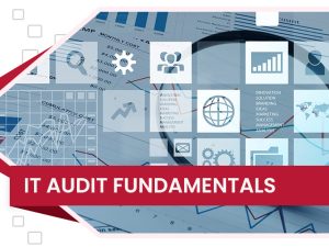 دوره IT Audit Fundamentals دیجی وایز آکادمی