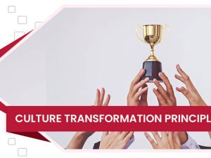digiwise-academy-culture-transformation-principles-course-feature-image