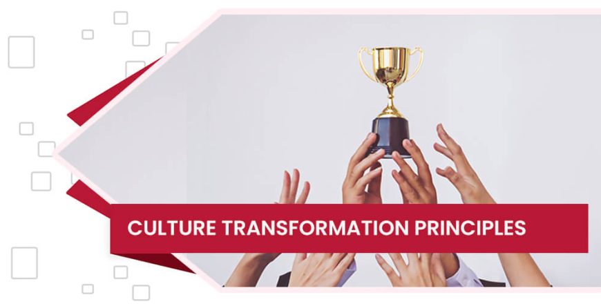 digiwise-academy-culture-transformation-principles-course-feature-image