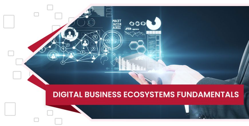 digiwise-academy-digital-business-ecosystems-fundamentals-course-feature-image