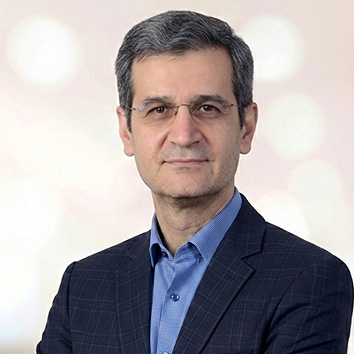 Reza Karami